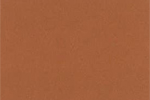 B-006 Brown